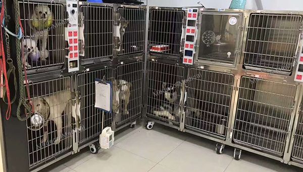 Veterinary Animal Hospital oxygen cabin Pet cage power version MEdy-01