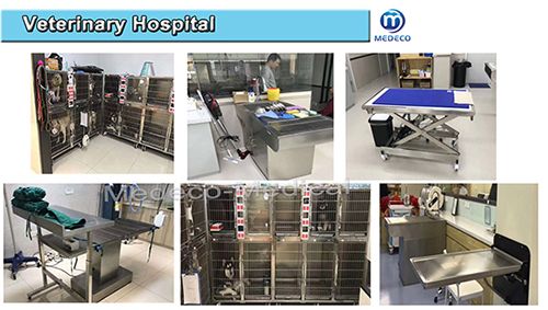 Combined stainless steel foster care (hospital) cage MEjy-01