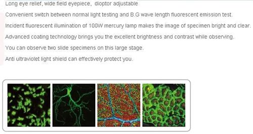 Fluorescence microscope MEH100