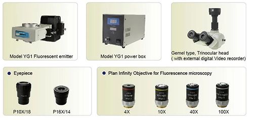 Fluorescence microscope MEH100